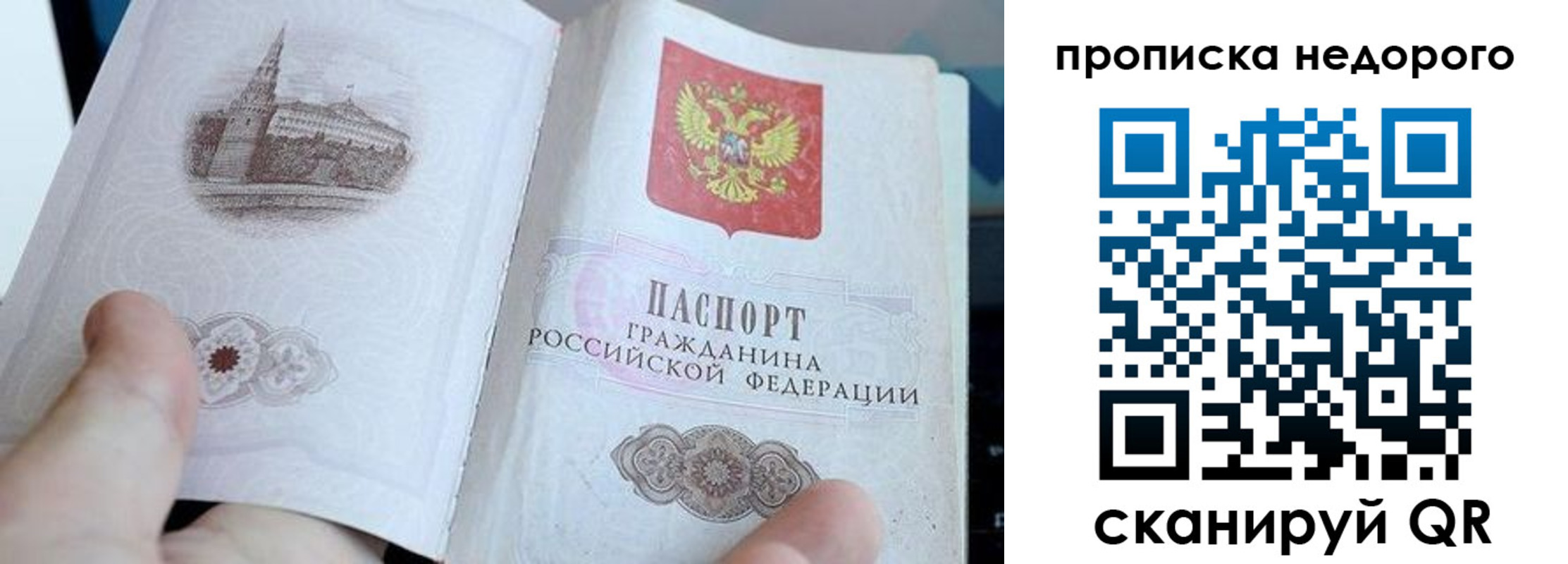 пропишу в квартире в Светлогорске