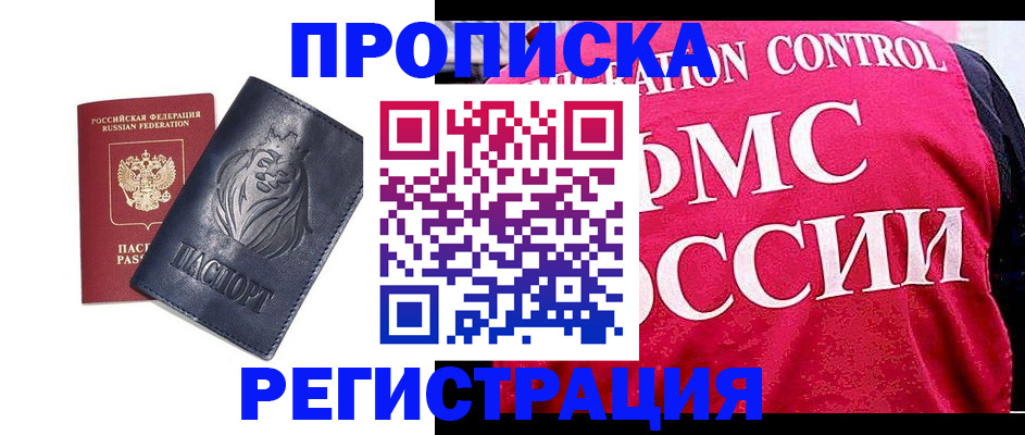 где прописаться в Светлогорске
